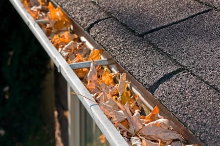 Gutter Cleaning & Brightening